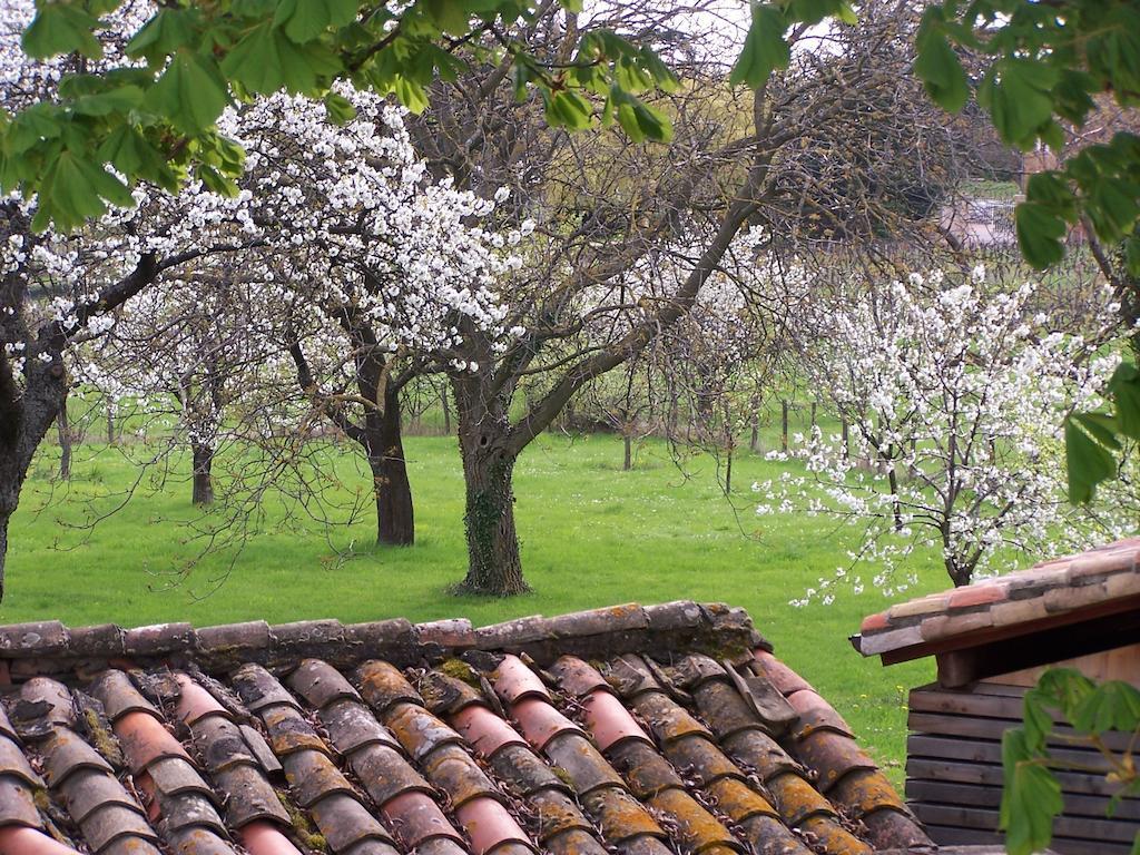 Clos De Pomeir ξενώνας Pommiers  Εξωτερικό φωτογραφία